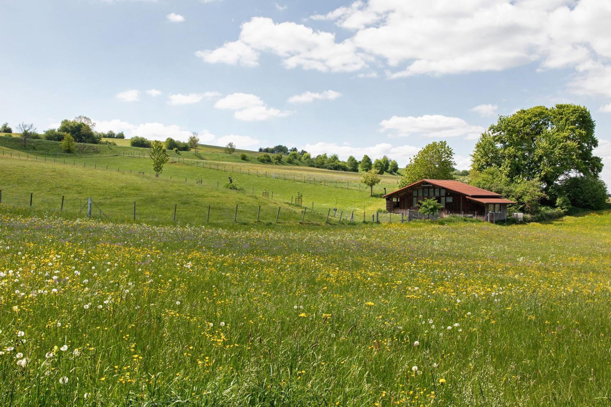 Ferienwohnung Emilia, 36Qm Münsingen Eksteriør bilde